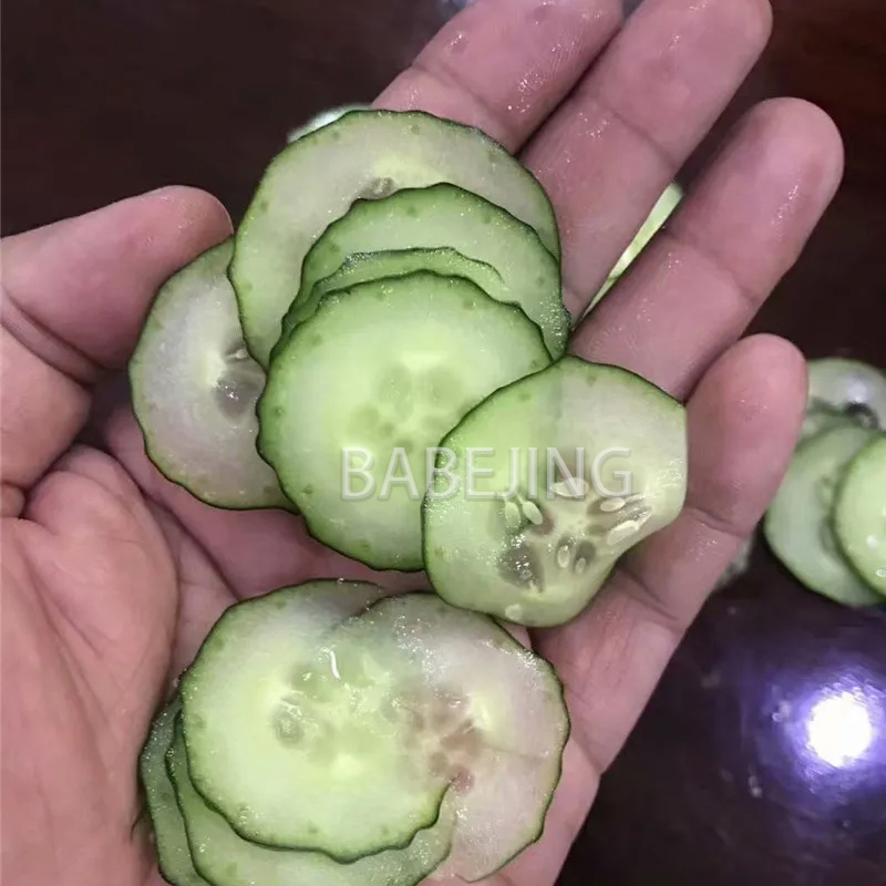 Electric Mini Scallion Chopper - Commercial Kitchen Appliance 评论和价格
